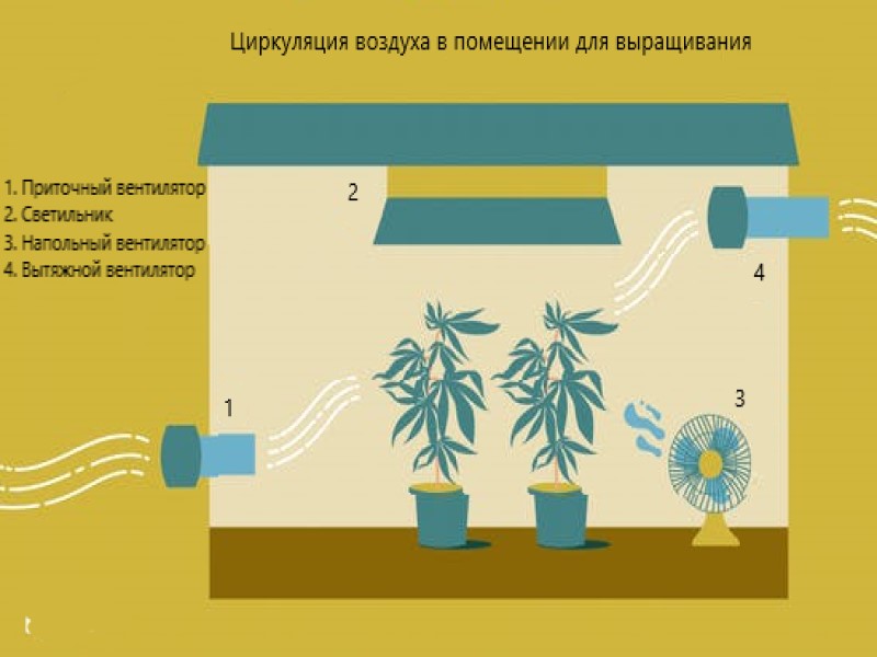 Необходимое оборудование для правильной циркуляции и обмена воздуха